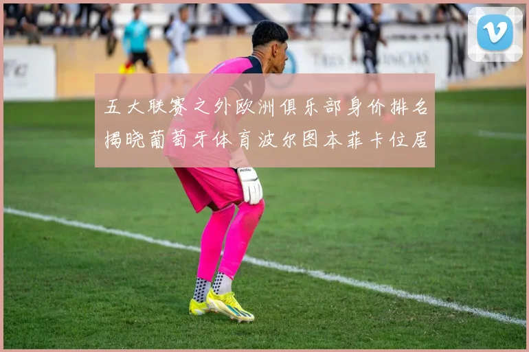 五大联赛之外欧洲俱乐部身价排名揭晓葡萄牙体育波尔图本菲卡位居前三
